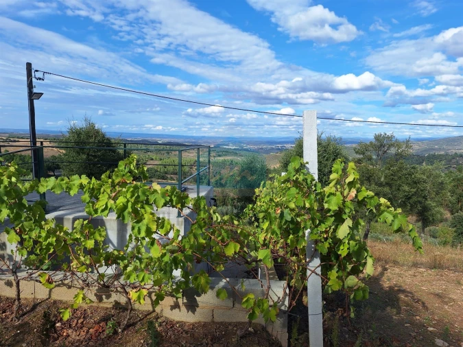 Terreno para Venda em Barcel, Marmelos e Valverde da Gestosa Foto 20