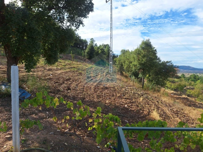 Terreno para Venda em Barcel, Marmelos e Valverde da Gestosa Foto 18