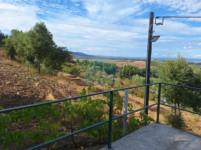 Terreno para Venda em Barcel, Marmelos e Valverde da Gestosa Foto 17