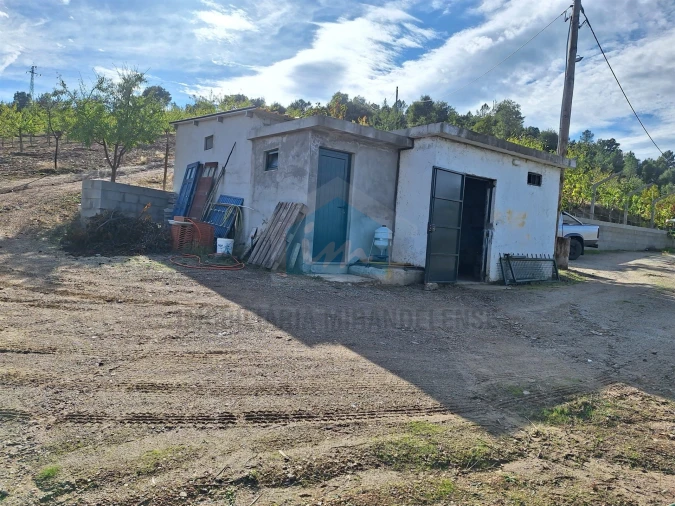 Terreno para Venda em Barcel, Marmelos e Valverde da Gestosa Foto 7