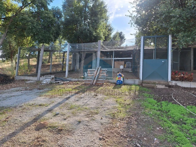 Terreno para Venda em Barcel, Marmelos e Valverde da Gestosa Foto 10