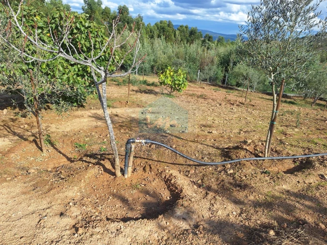 Terreno para Venda em Barcel, Marmelos e Valverde da Gestosa Foto 11