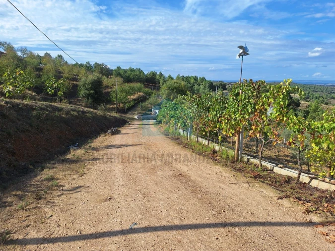 Terreno para Venda em Barcel, Marmelos e Valverde da Gestosa Foto 23