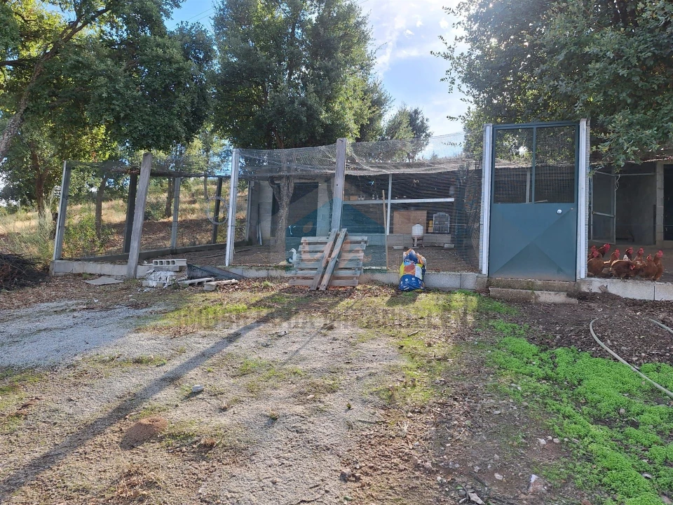 Terreno para Venda em Barcel, Marmelos e Valverde da Gestosa Foto 10