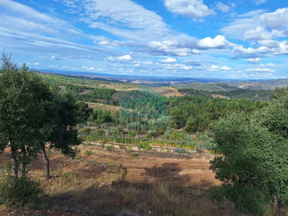 Terreno para Venda em Barcel, Marmelos e Valverde da Gestosa Foto 21