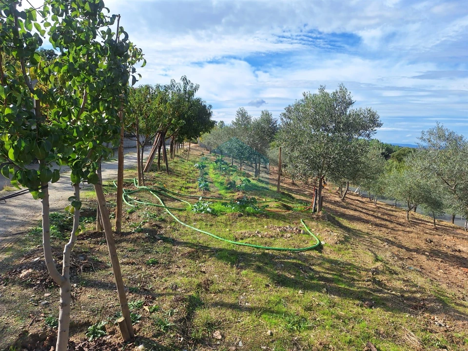 Terreno para Venda em Barcel, Marmelos e Valverde da Gestosa Foto 22