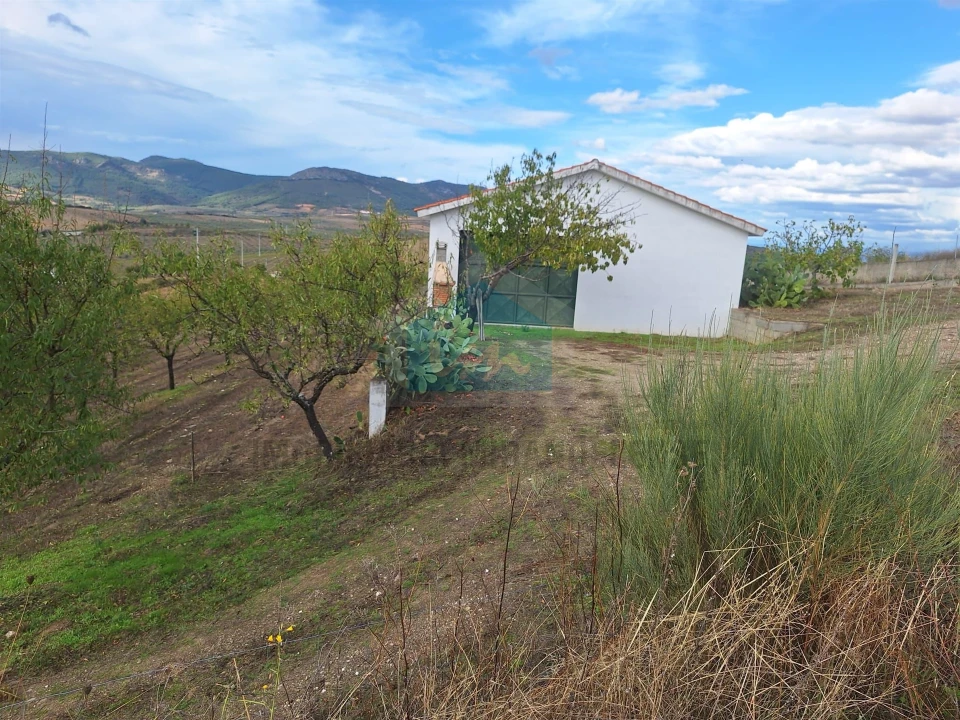 Terreno para Venda em Barcel, Marmelos e Valverde da Gestosa Foto 24