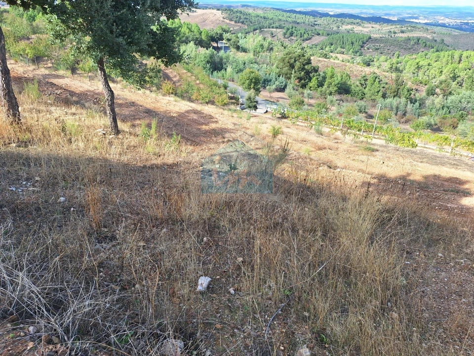 Terreno para Venda em Barcel, Marmelos e Valverde da Gestosa Foto 19