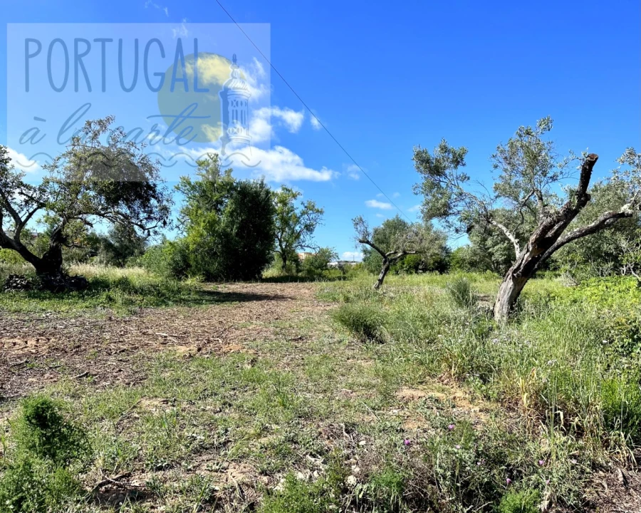 Moradia para Venda em Luz de Tavira e Santo Estêvão Foto 32