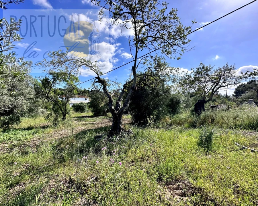 Moradia para Venda em Luz de Tavira e Santo Estêvão Foto 36