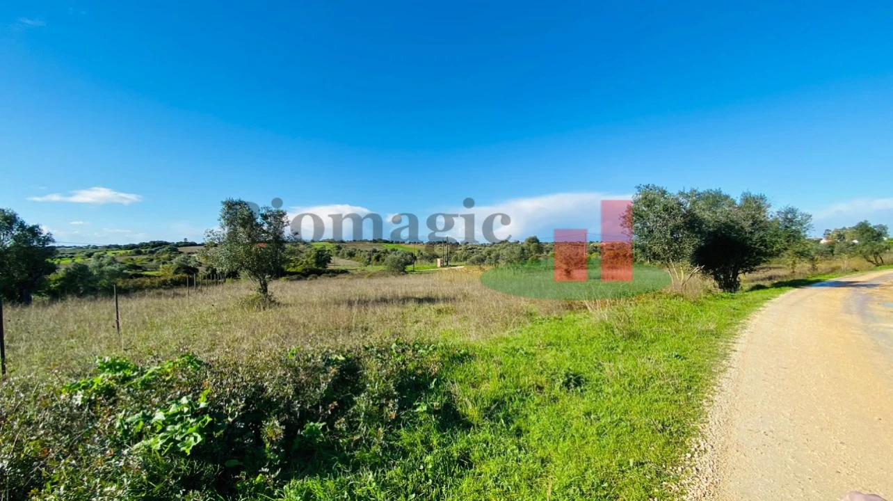 Terreno Agricola ou Rústico para Venda em Marmeleira e Assentiz Foto 2