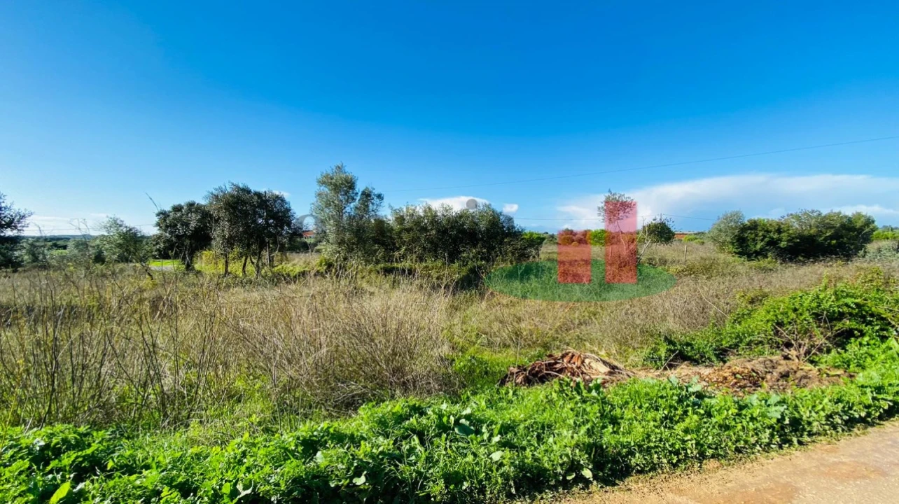 Terreno Agricola ou Rústico para Venda em Marmeleira e Assentiz Foto 3