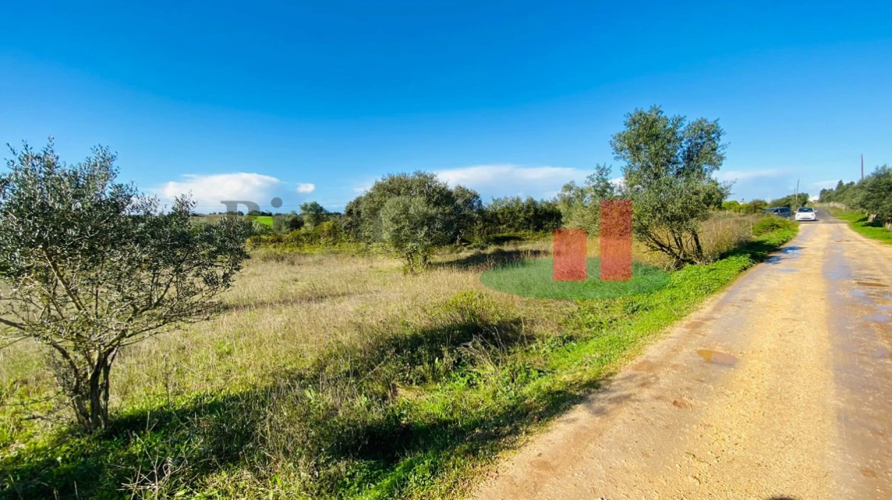 Terreno Agricola ou Rústico para Venda em Marmeleira e Assentiz Foto 8