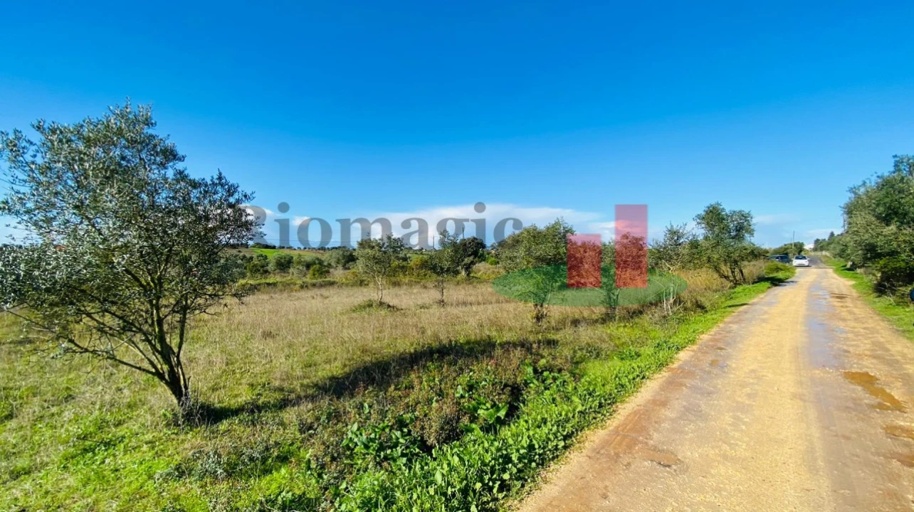 Terreno Agricola ou Rústico para Venda em Marmeleira e Assentiz Foto 9