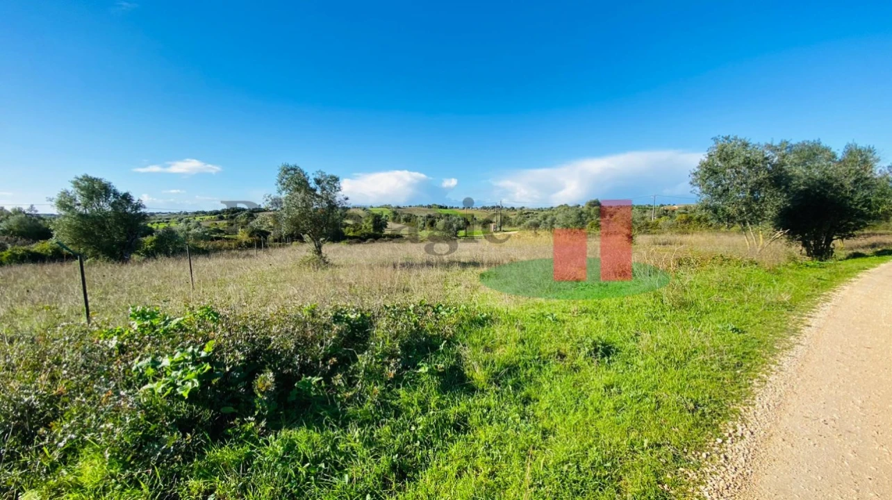 Terreno Agricola ou Rústico para Venda em Marmeleira e Assentiz Foto 10