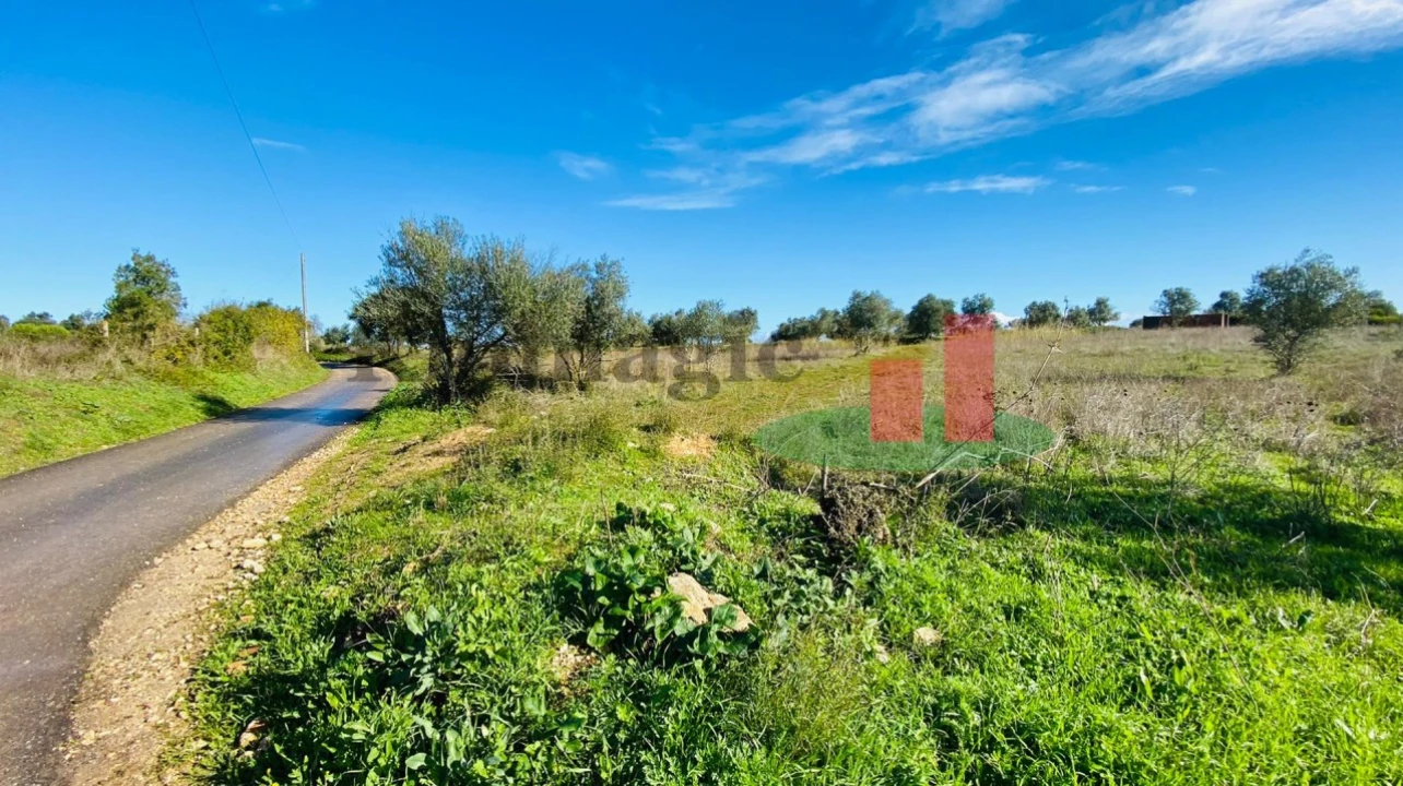 Terreno Agricola ou Rústico para Venda em Marmeleira e Assentiz Foto 15