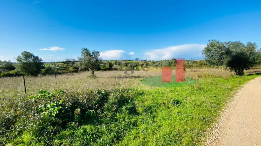 Terreno Agricola ou Rústico para Venda em Marmeleira e Assentiz Foto 10