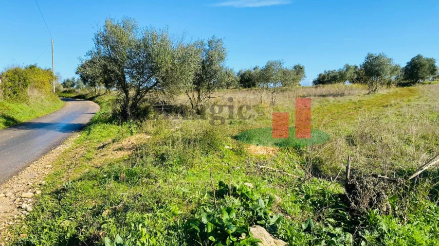 Terreno Agricola ou Rústico para Venda em Marmeleira e Assentiz Foto 12