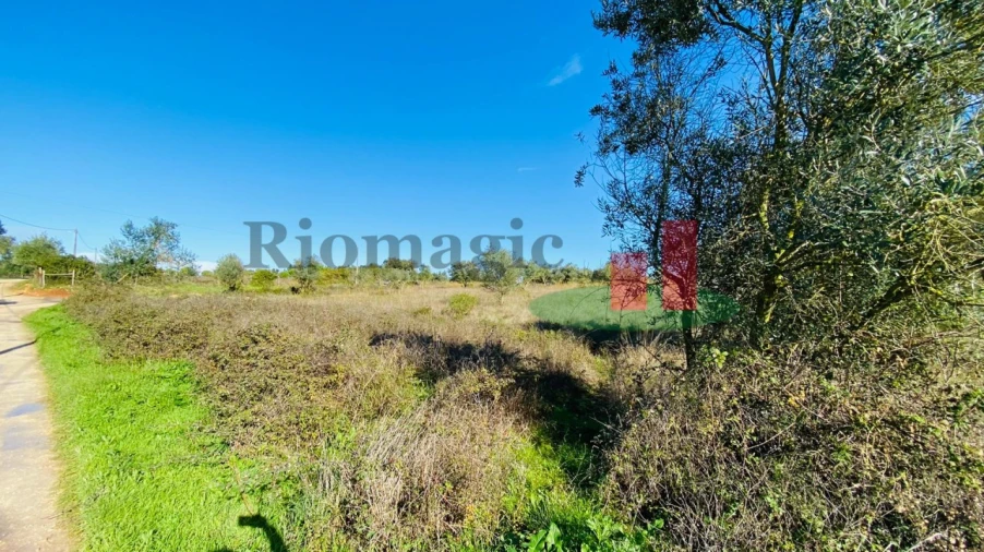 Terreno Agricola ou Rústico para Venda em Marmeleira e Assentiz Foto 16