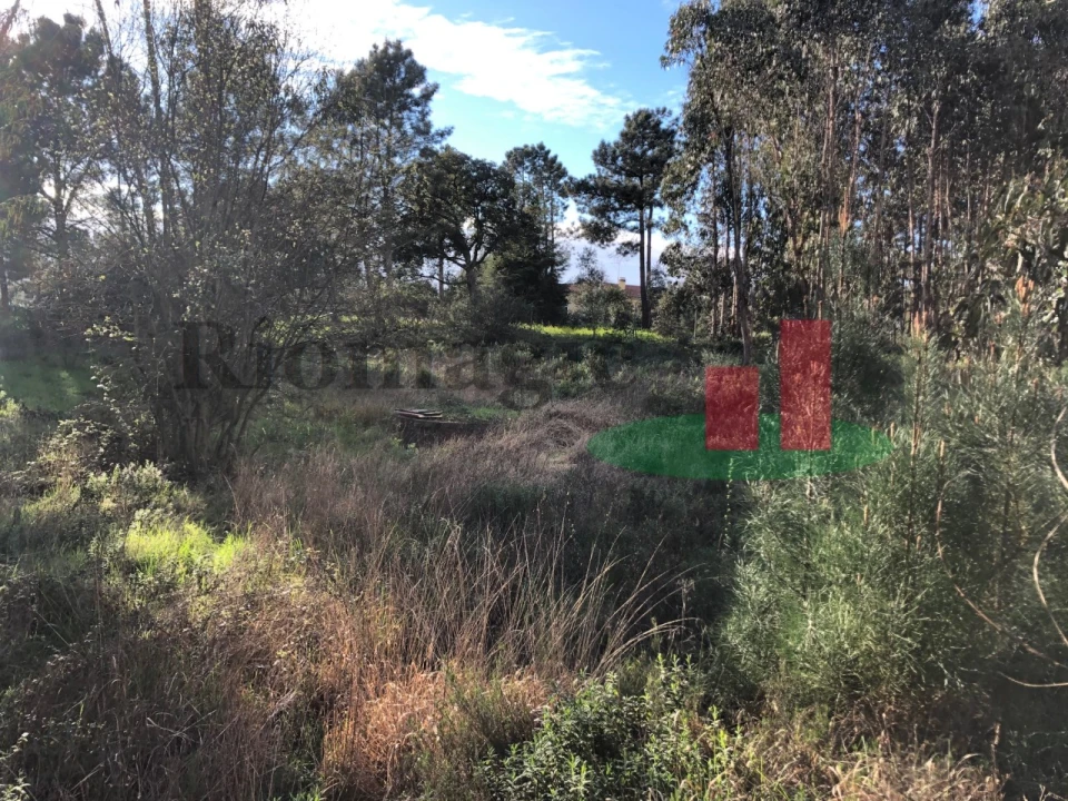 Terreno para Venda em Asseiceira Foto 3