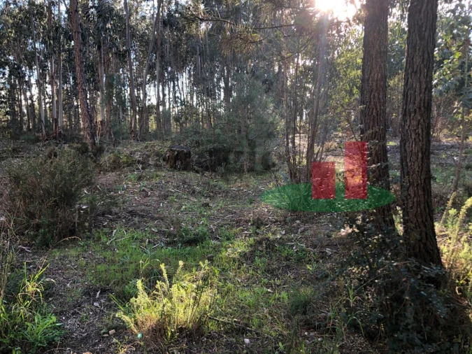 Terreno para Venda em Asseiceira Foto 4