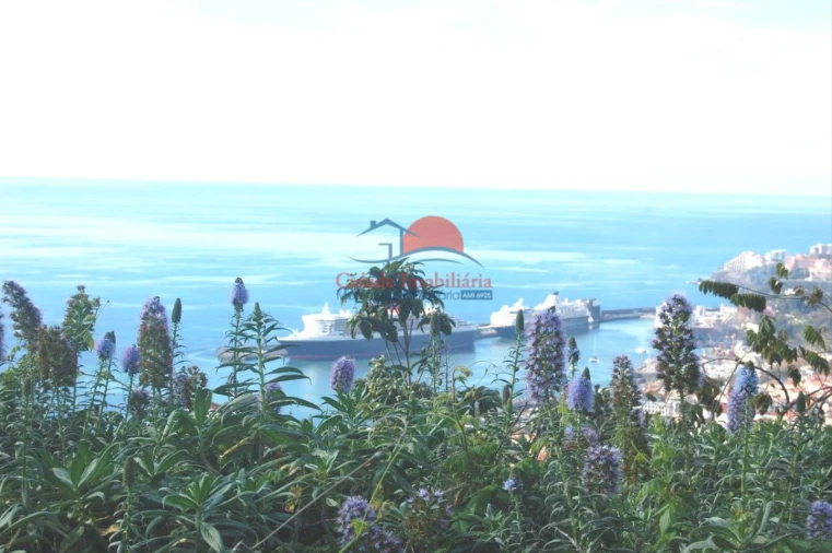 Terreno para Venda em Funchal (Santa Maria Maior)
