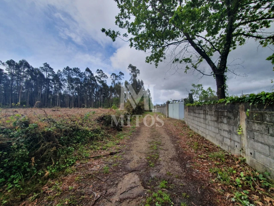 Terreno Comércio / Armazém para Venda em Vila de Punhe Foto 2