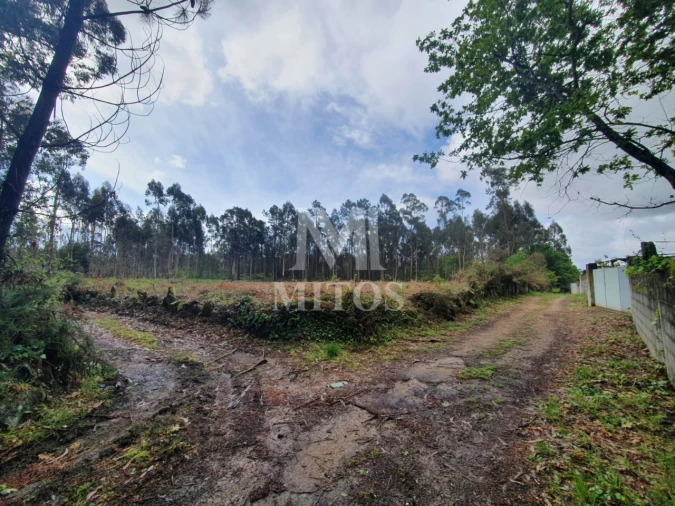 Terreno Comércio / Armazém para Venda em Vila de Punhe Foto 1