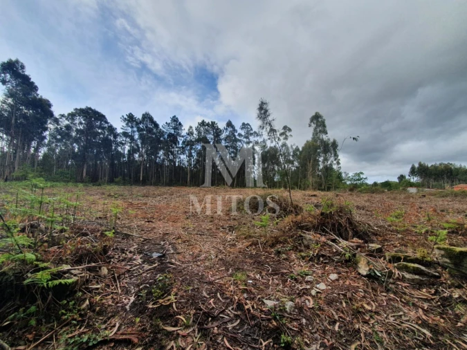 Terreno Comércio / Armazém para Venda em Vila de Punhe Foto 5