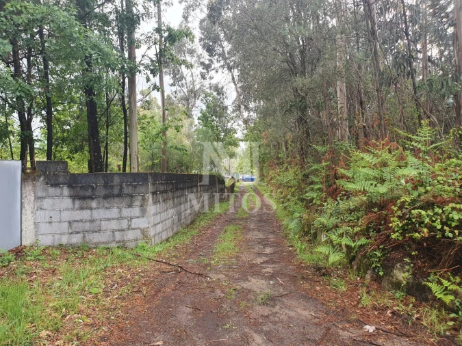 Terreno Comércio / Armazém para Venda em Vila de Punhe Foto 6