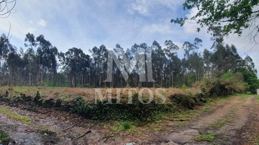 Terreno Comércio / Armazém para Venda em Vila de Punhe
