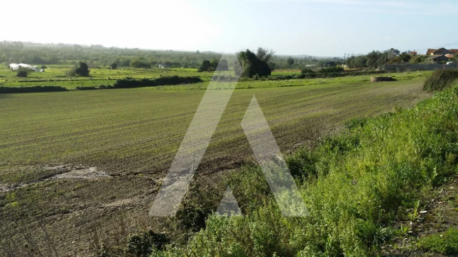 Terreno para Venda em Canelas e Fermelã Foto 2