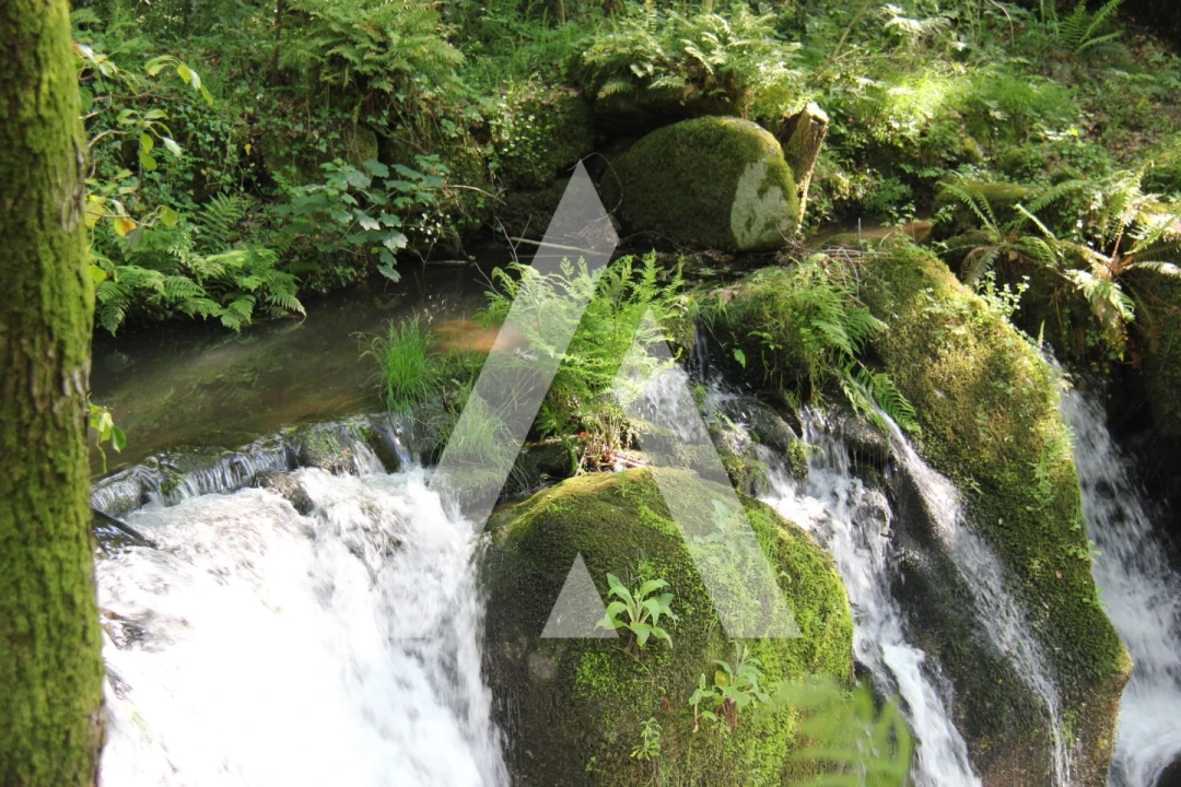 Terreno Misto para Venda em Jugueiros Foto 8