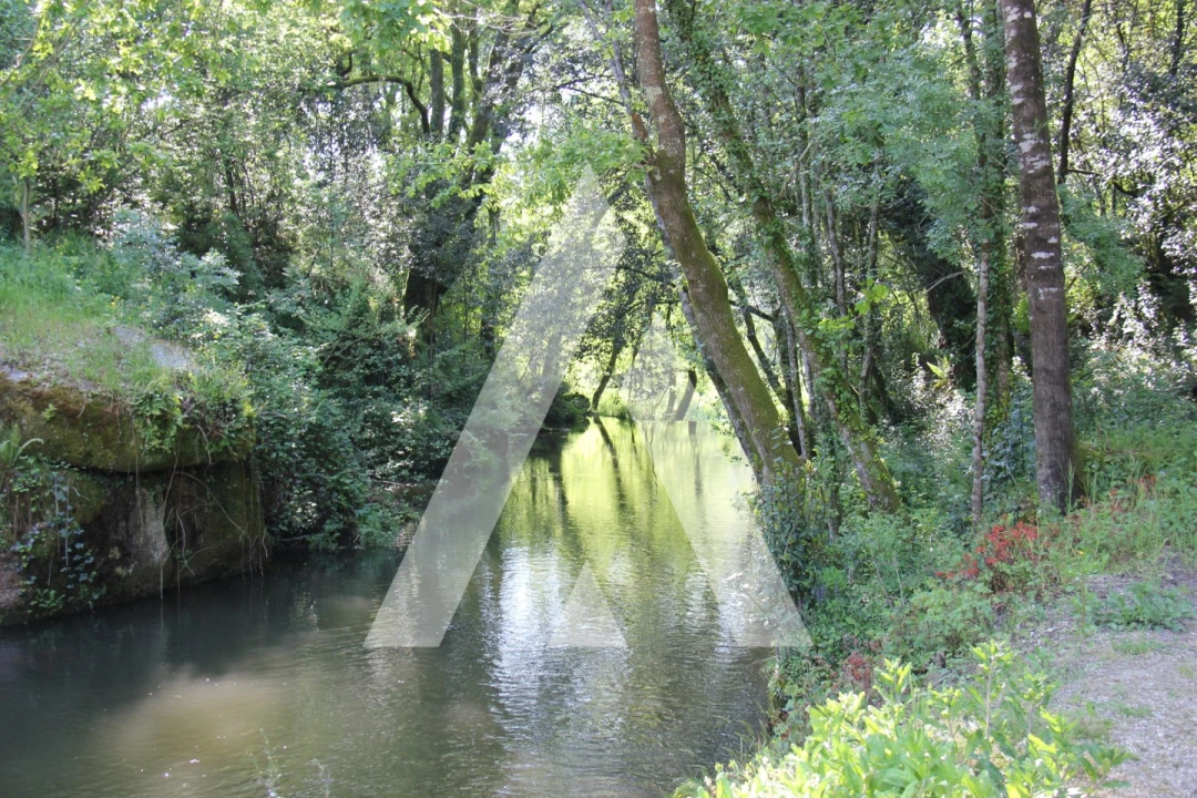 Terreno Misto para Venda em Jugueiros Foto 9