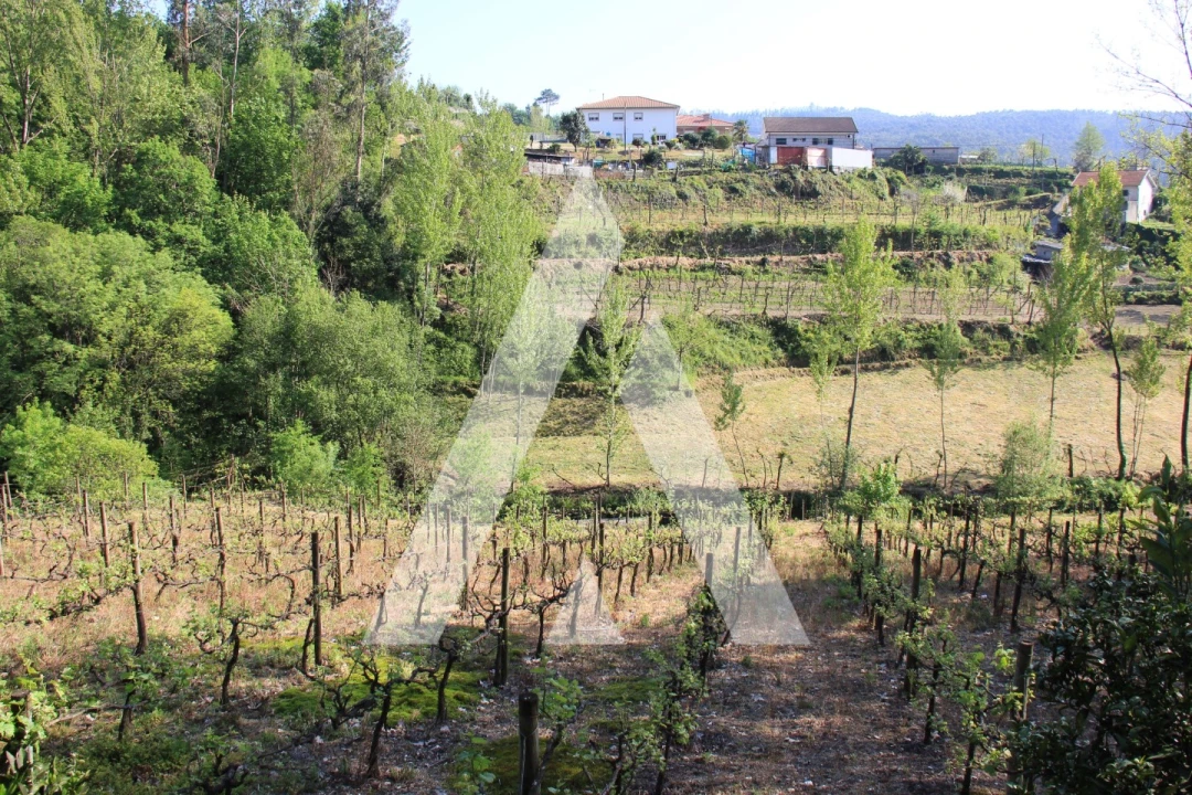 Terreno Misto para Venda em Jugueiros Foto 12