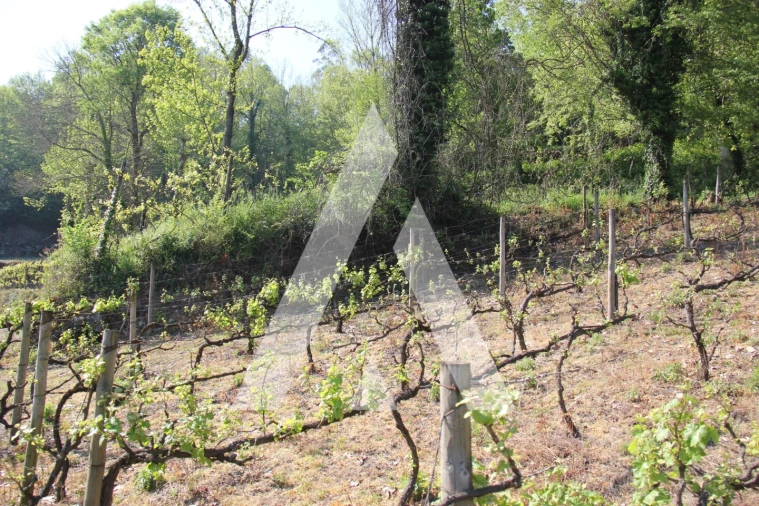 Terreno Misto para Venda em Jugueiros Foto 4