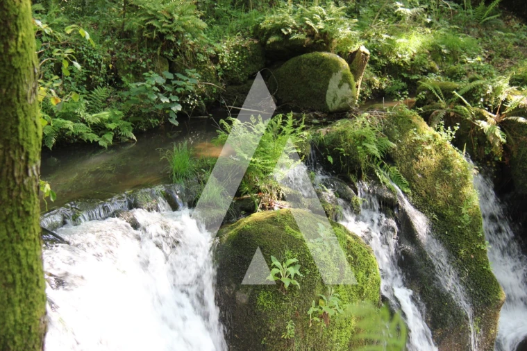 Terreno Misto para Venda em Jugueiros Foto 8