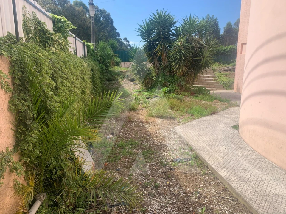 Negócio para Venda em Esgueira Foto 27