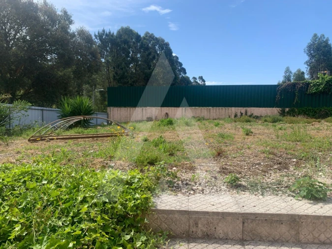 Negócio para Venda em Esgueira Foto 28