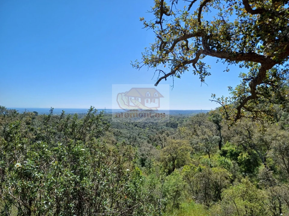 Terreno Agricola ou Rústico para Venda em Grândola e Santa Margarida da Serra Foto 2