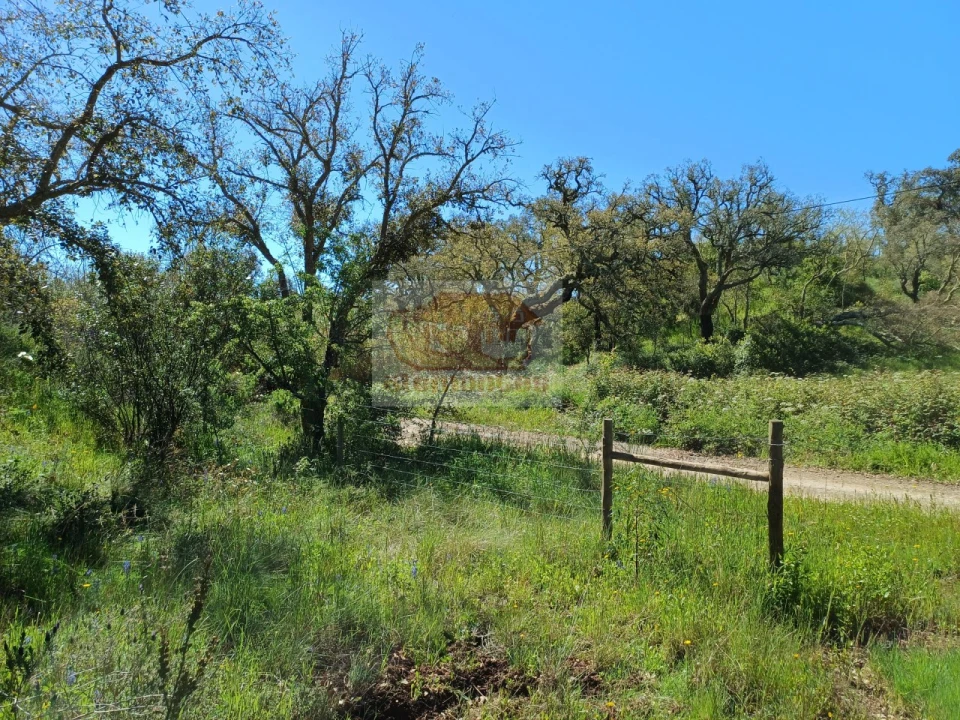 Terreno Agricola ou Rústico para Venda em Grândola e Santa Margarida da Serra Foto 4