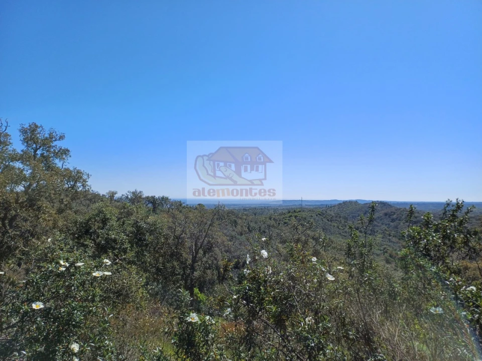 Terreno Agricola ou Rústico para Venda em Grândola e Santa Margarida da Serra Foto 5