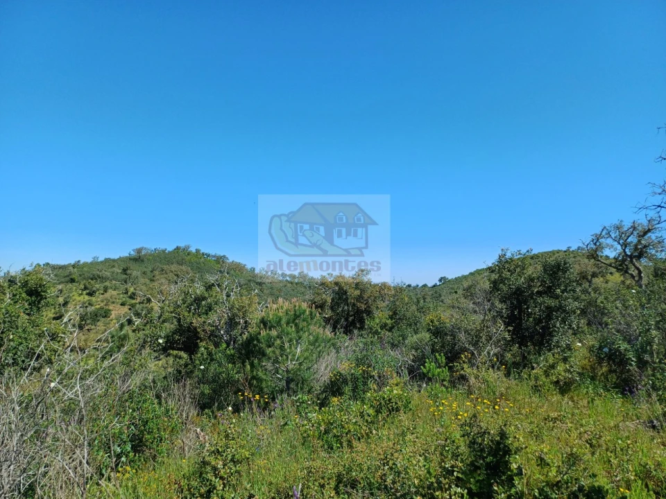 Terreno Agricola ou Rústico para Venda em Grândola e Santa Margarida da Serra Foto 7