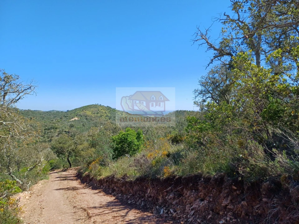 Terreno Agricola ou Rústico para Venda em Grândola e Santa Margarida da Serra Foto 10