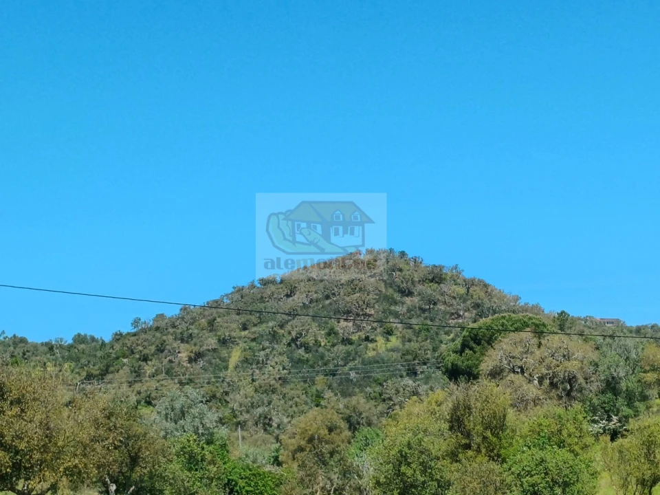 Terreno Agricola ou Rústico para Venda em Grândola e Santa Margarida da Serra Foto 12
