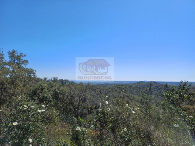 Terreno Agricola ou Rústico para Venda em Grândola e Santa Margarida da Serra Foto 5
