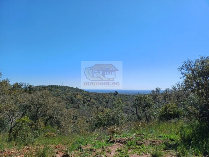Terreno Agricola ou Rústico para Venda em Grândola e Santa Margarida da Serra Foto 8