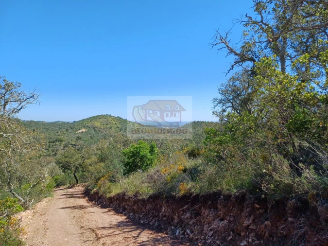 Terreno Agricola ou Rústico para Venda em Grândola e Santa Margarida da Serra Foto 10