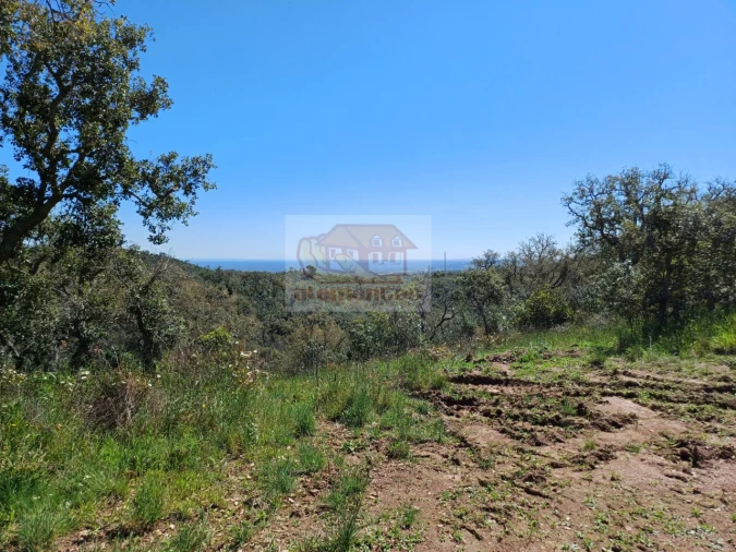 Terreno Agricola ou Rústico para Venda em Grândola e Santa Margarida da Serra Foto 11