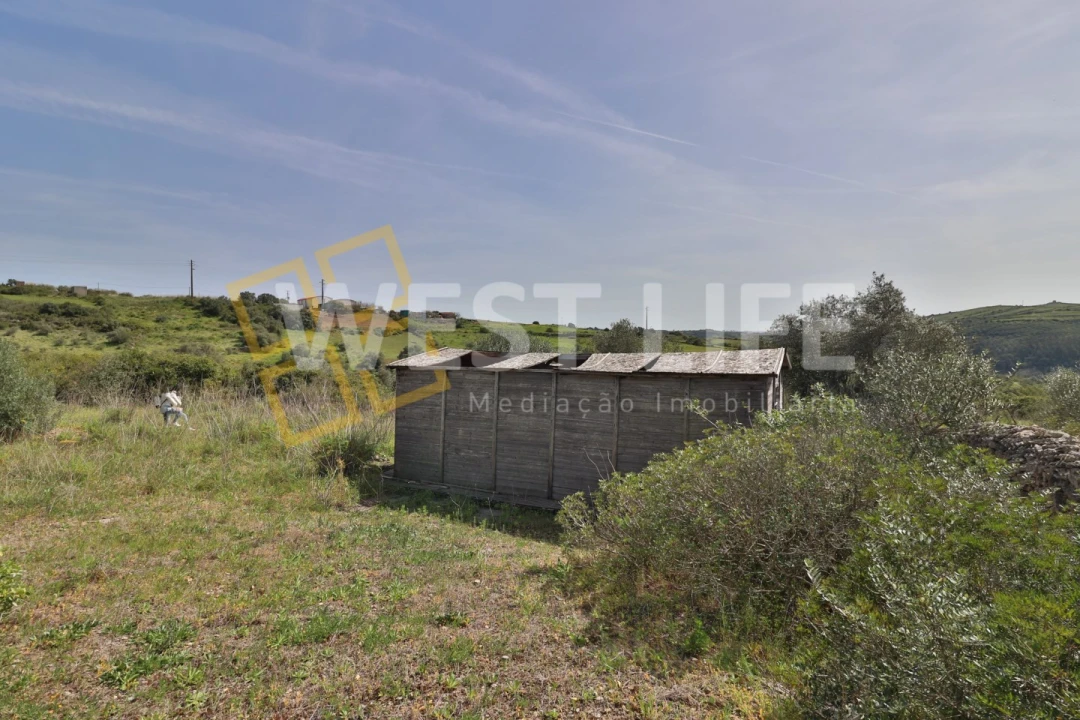Terreno Agricola ou Rústico para Venda em Igreja Nova e Cheleiros Foto 4